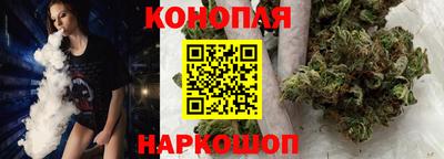 Альфа ПВП Дубна