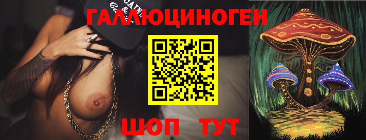 Галлюциногенные грибы Psilocybe Глазов
