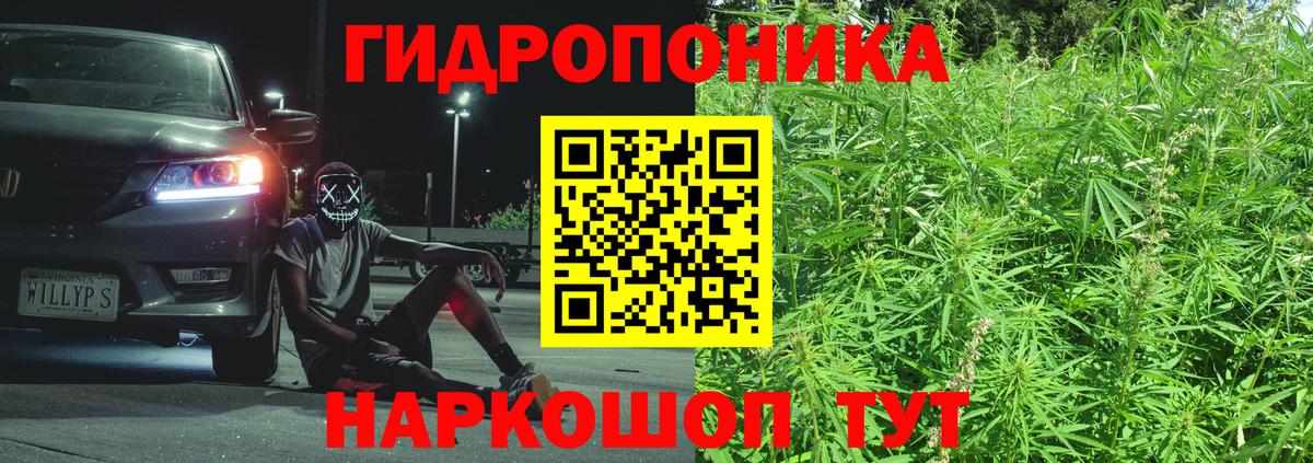 Канабис план  Вход с VPN  Бошки Шишки Bruce Banner  Бошки марихуана Amnesia  Глазов 